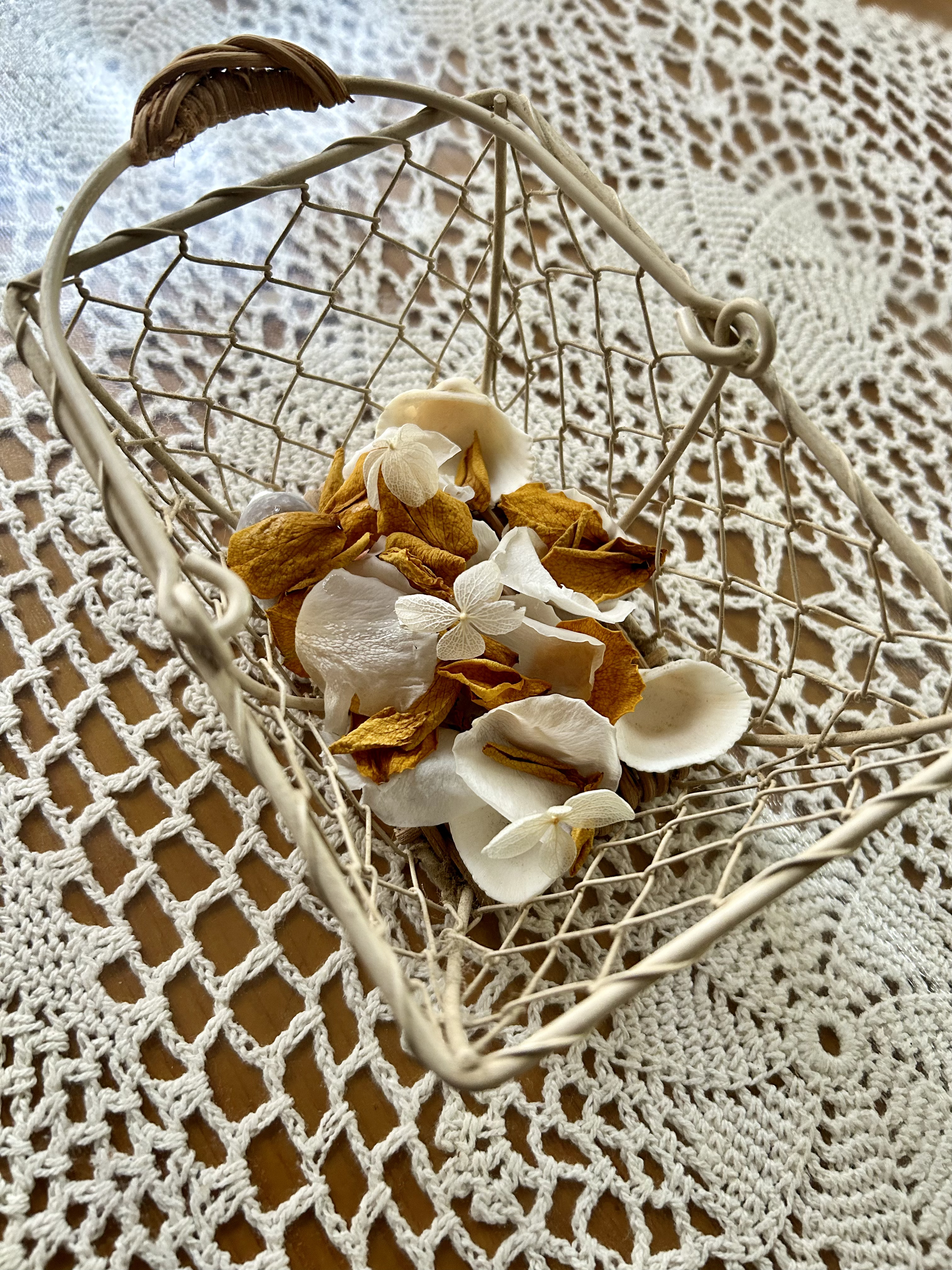 占い師光奈のお気に入り写真2